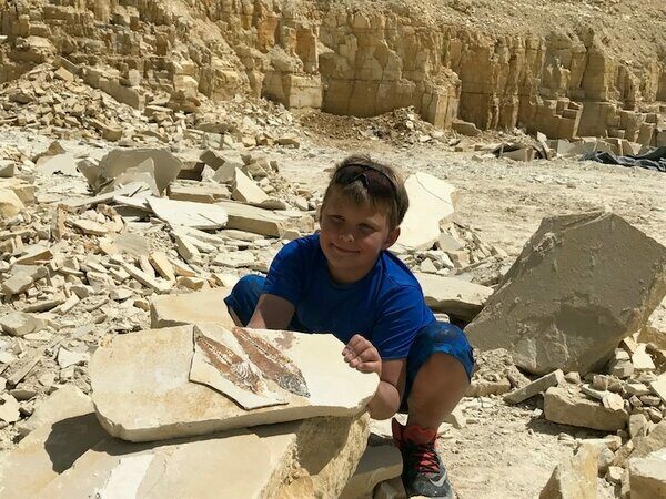 The American Fossil Quarry represents a 50 million year old lake bed and one of the most prolific fossil sites in the world.